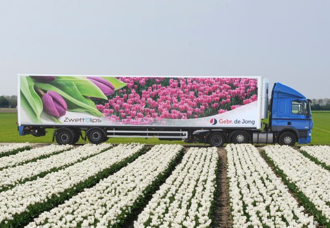 Autobelettering ontwerpen
